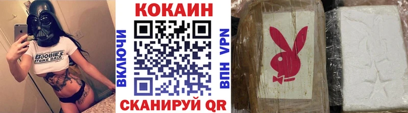 Cocaine Fish Scale  Купить закладки  Махачкала 