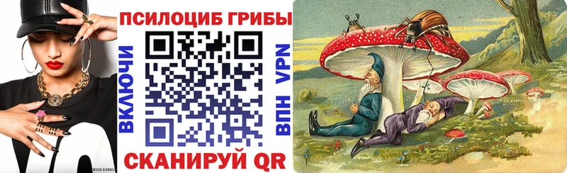 Псилоцибиновые грибы Magic Shrooms  Купить закладки  Махачкала 